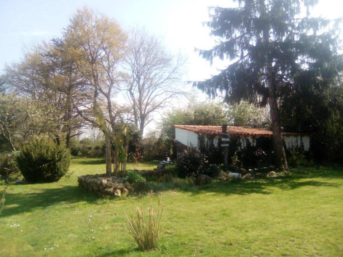 Mas Des Vignes Piscine Chauffee Bed & Breakfast Le Champ-Saint-Pere ภายนอก รูปภาพ